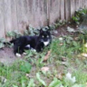 Meet your Posher, Angie